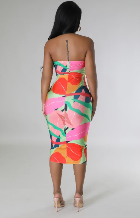 Curves Midi