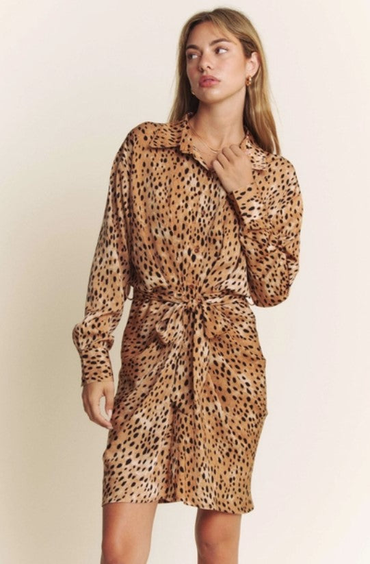 Ruched Animal Print Long Sleeve Shirt Dress