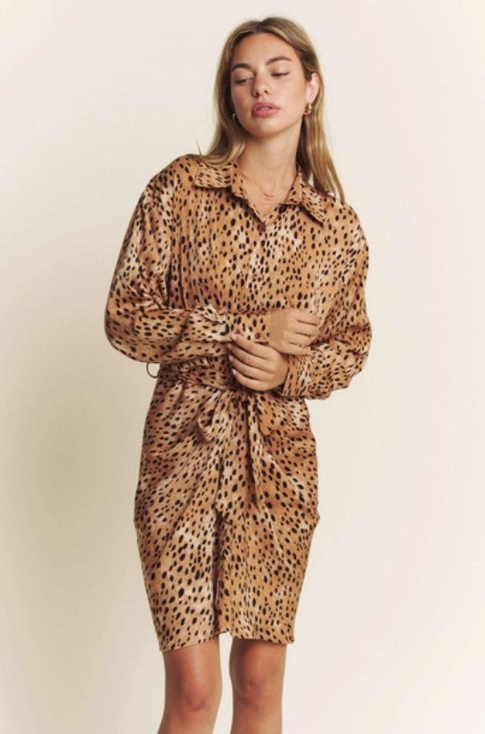 Ruched Animal Print Long Sleeve Shirt Dress