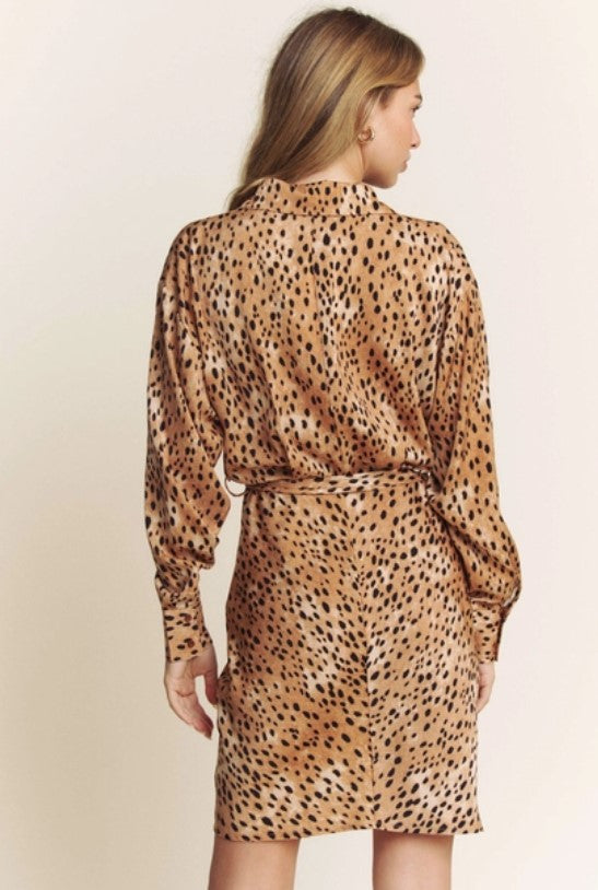 Ruched Animal Print Long Sleeve Shirt Dress
