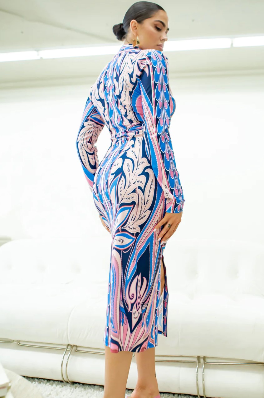 Long Sleeve Button Down Dress