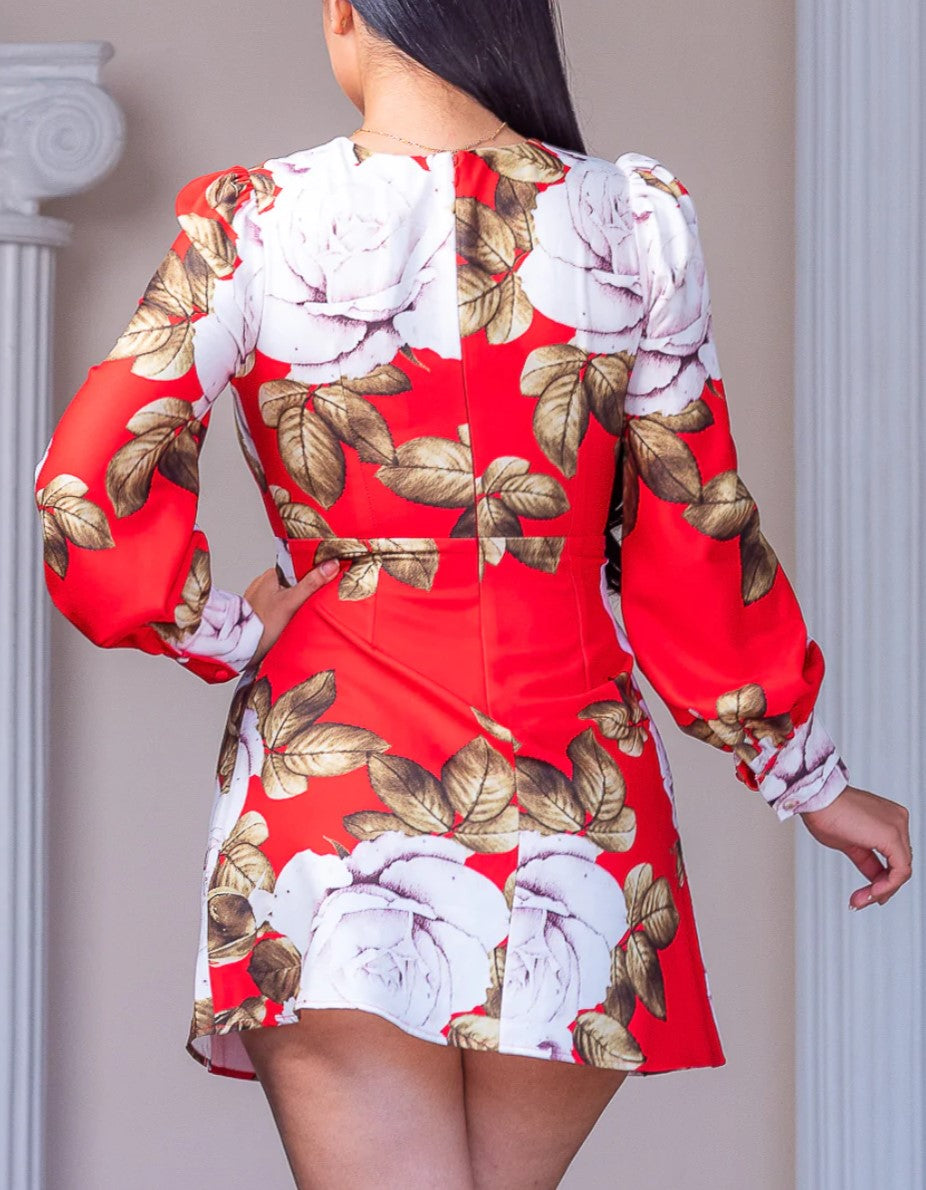 Long Sleeve Sweetheart Dress