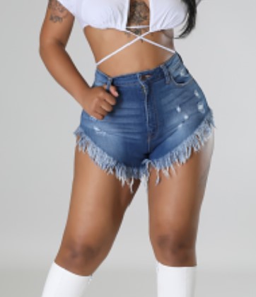 High Rise Denim Shorts
