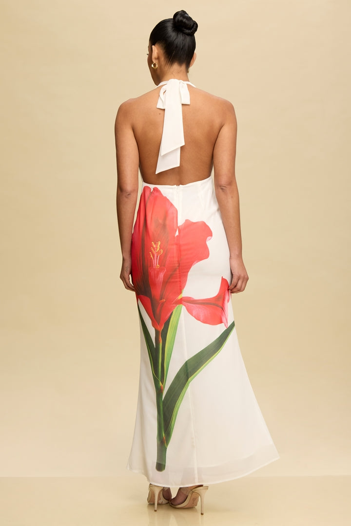 Blossom Cowl Neckline Maxi Dress